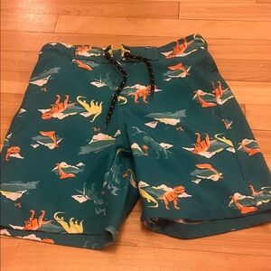 Tag Kids Swim Trunks with Dinosaur Design - Teal and Orange